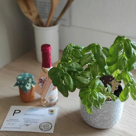 Ferienwohnung Klein Und Fein Hemfurth-Edersee